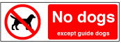 No Dogs Except Guide Dogs 200 x 300mm - Rigid Plastic 