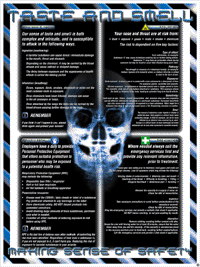 Making Sense of Safety